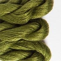 PP: 095 Olive