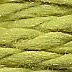 PE: 056 Fiddlehead