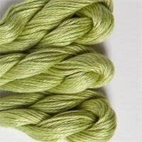 PP: 081 Margarita