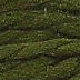 PE: 054 Herbs