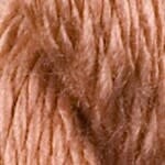C-021: Apricot Brandy