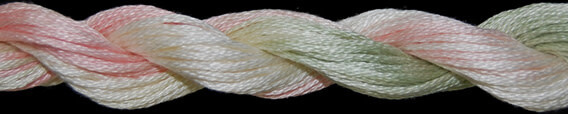TX 01095: Cactus Flowers