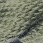 M-1142: Thyme