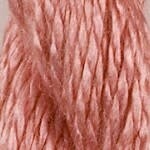 C-166: Tea Rose