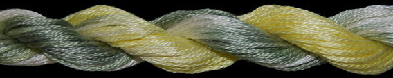 TX 10821: Daffodil