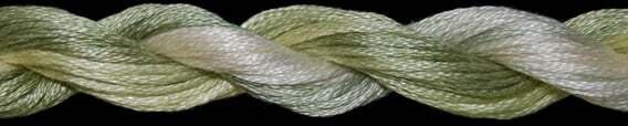 TX 01082: Cabbage