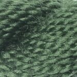 M-1146: Cactus
