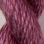 C-176: Dusky Orchid