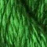C-062: Fern