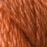 C-124: Persimmon