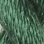 C-146: Cactus