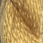 C-229: Toni Gold