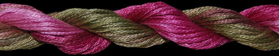 TX 11011: Hydrangea