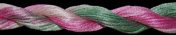 TX 10811: Lady Slipper