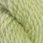 M-1234: Celery