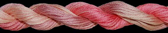 TX 10930: Peaches n Cream