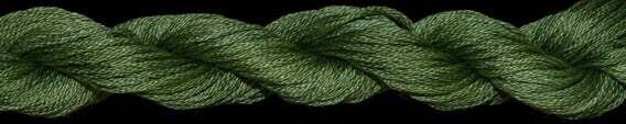 TX 10490: English Ivy