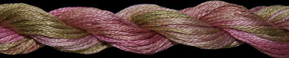 TX 01081: Shortcake