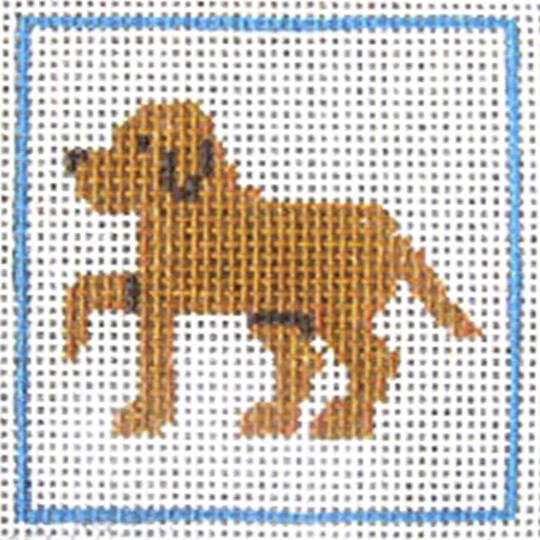 A16 Golden Lab 5.5x6 10M