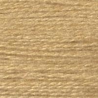 E-593: Lentil