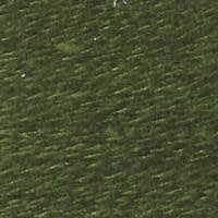 E-709: Iguana