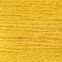 E-577: Canary