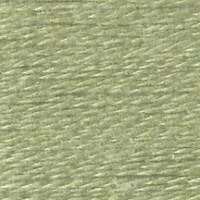 E-700: Inchworm