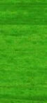 4mm 254: OD Classic Green