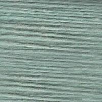 E-686: Lichen