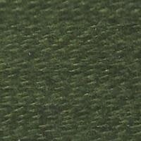 E-710: Rain Forest