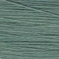 E-687: Kelp