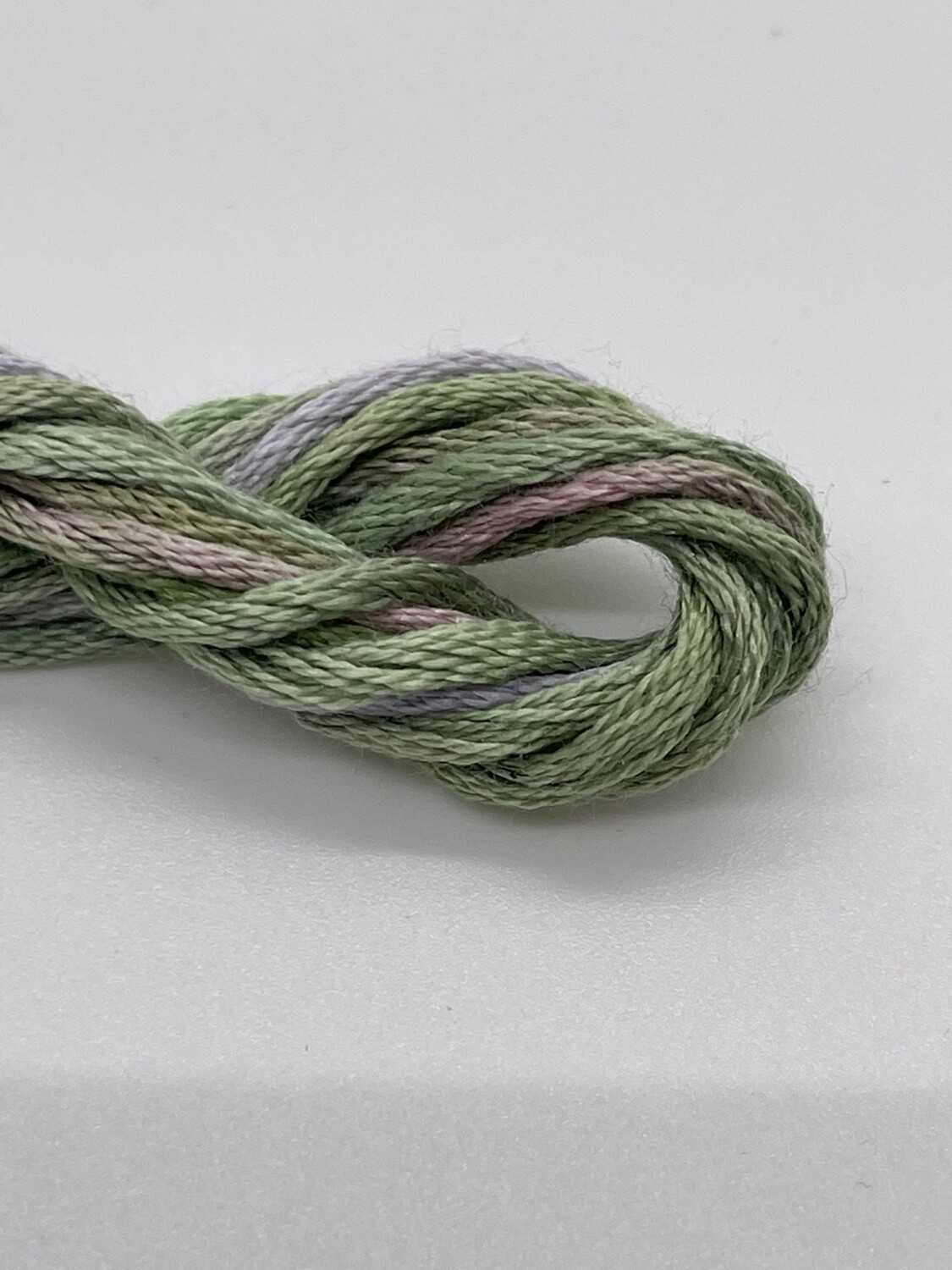 Waterlilies 105: Succotash