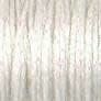 1/16" Ribbon: 5760 Marshmallow