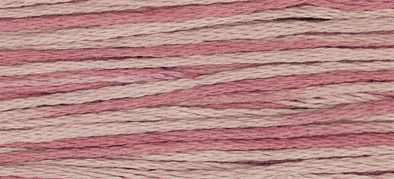 2284 Madison Rose