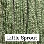 CCT: Little Sprout