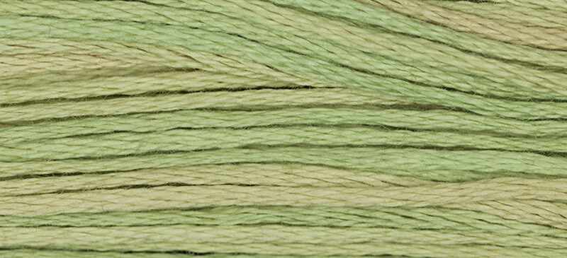 1189 Butter Bean