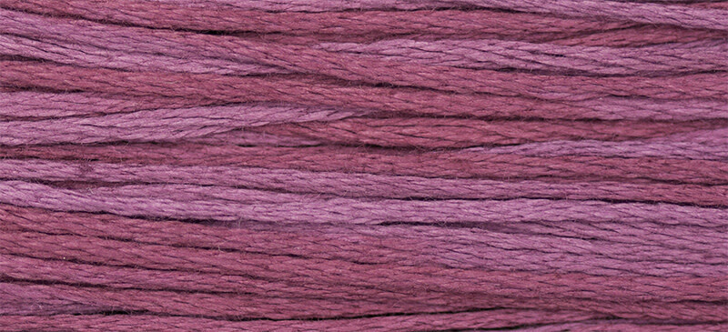 1343 Boysenberry