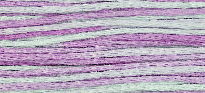 2306 Blue Aster (classic)