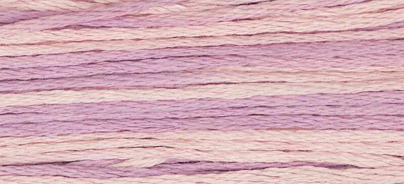 2279 Sweetheart Rose