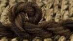 Gloriana #264: Woolly Bear