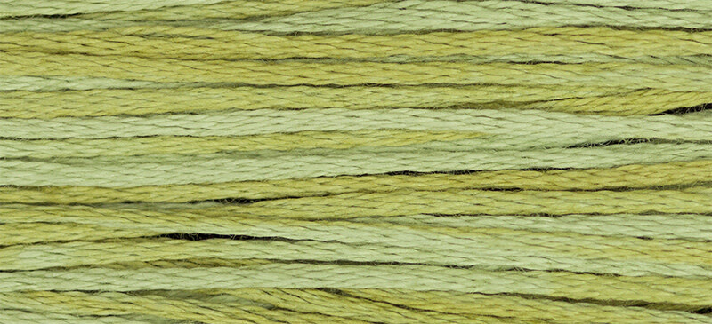 2196 Scuppernong