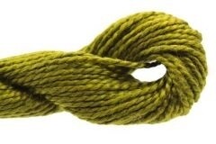 DMC5 580: Dark Moss Green