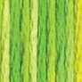 417F 4069 Margarita