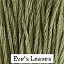 CCT: Eve's Leaves