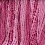 CCT: Priscilla's Peppermint