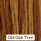 CCT: Old Oak Tree