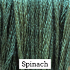 CCT: Spinach
