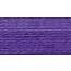 117 52: Variegated Violet