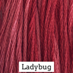 CCT: Ladybug