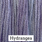 CCT: Hydrangea